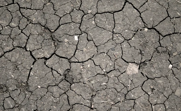 Dry cracked earth background — Stock Photo, Image