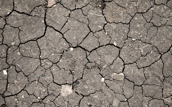 Dry cracked earth background — Stock Photo, Image