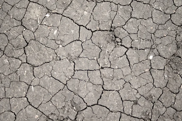 乾燥した地球の背景 — ストック写真