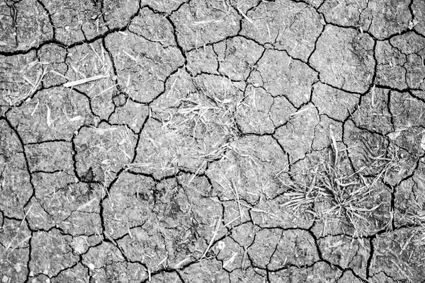Fondo seco de tierra agrietada —  Fotos de Stock