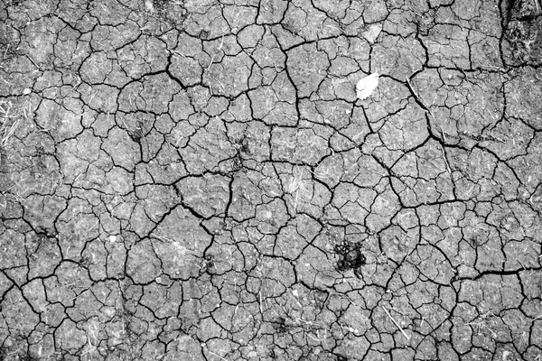 Suché popraskané zeminy pozadí — Stock fotografie