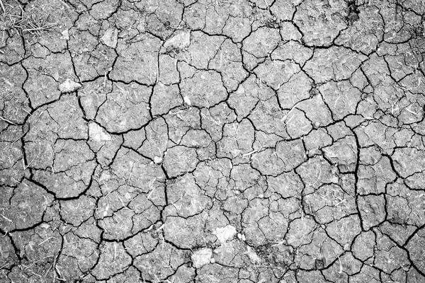 Fondo seco de tierra agrietada —  Fotos de Stock