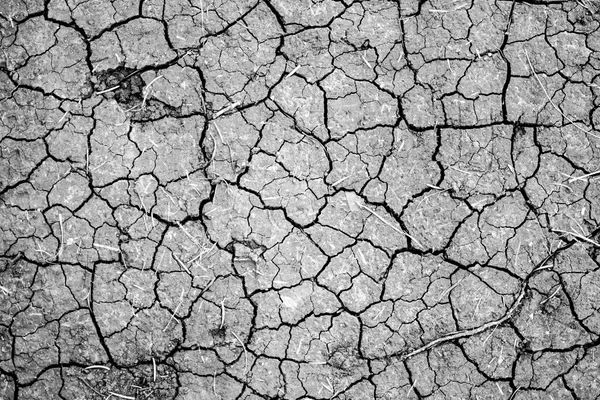 Fondo seco de tierra agrietada —  Fotos de Stock