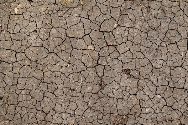 Droge gebarsten aarde achtergrond — Stockfoto