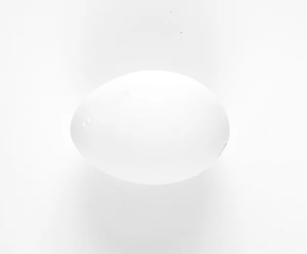 Barna tojás fehér háttérrel — Stock Fotó