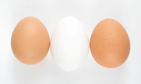 Huevos marrones sobre fondo blanco — Foto de Stock