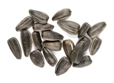 siyah ayçiçeği tohumu portre