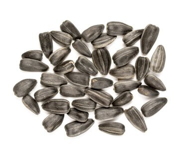 siyah ayçiçeği tohumu portre