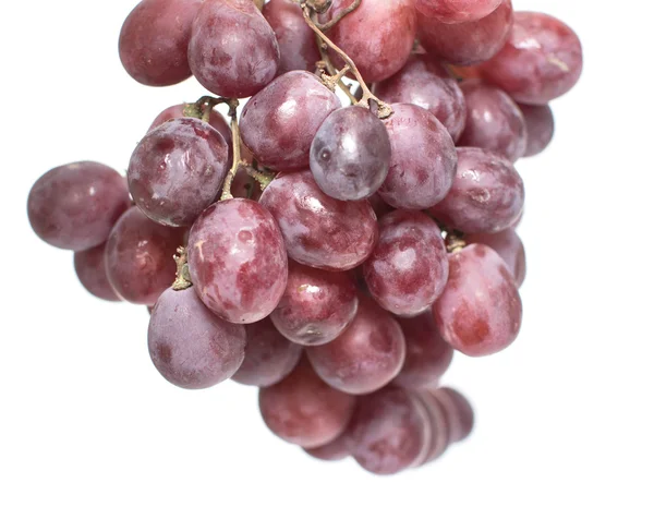Un bouquet de raisins sur fond blanc — Photo