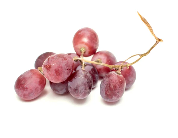 Een tros druiven op een witte achtergrond — Stockfoto