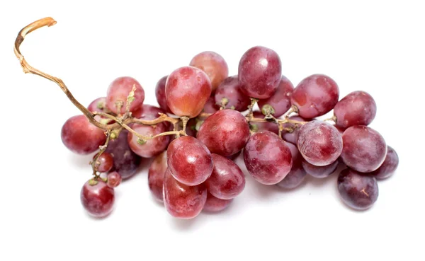 Un bouquet de raisins sur fond blanc — Photo