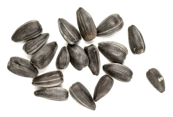 Czarne nasiona słonecznika zbliżenie — Zdjęcie stockowe