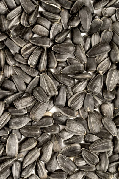 Black sunflower seeds closeup — Stock Photo, Image