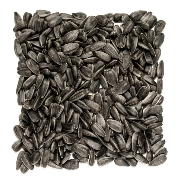 Czarne nasiona słonecznika zbliżenie — Zdjęcie stockowe