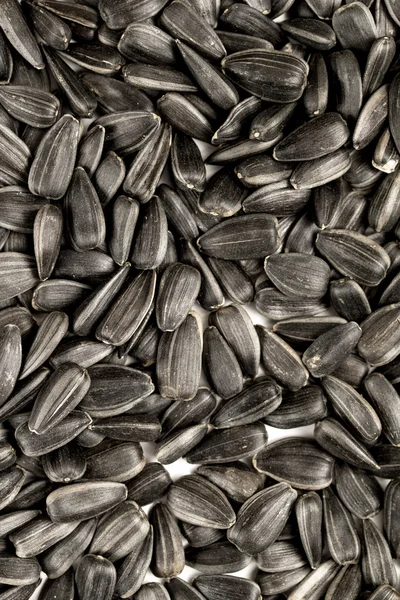 Black sunflower seeds closeup — Stock Photo, Image