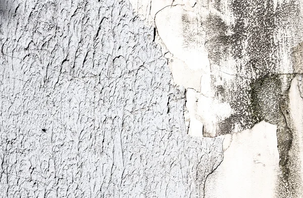 Wall grunge old light background — Stock Photo, Image