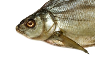 yemek için malzemeler