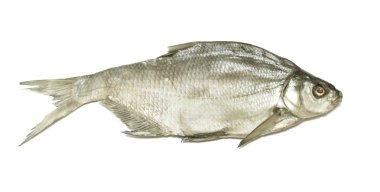 yemek için malzemeler