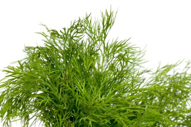 yemek için malzemeler