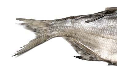 yemek için malzemeler