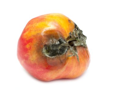 yemek için malzemeler