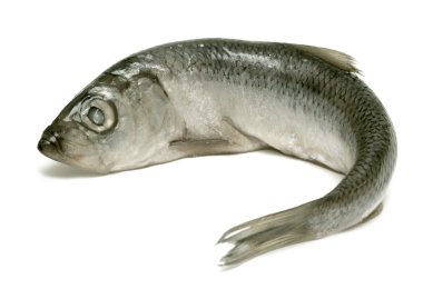 yemek için malzemeler