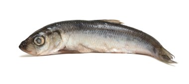 yemek için malzemeler