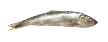yemek için malzemeler