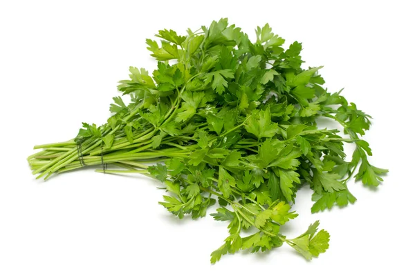 Ingredienser för mat — Stockfoto