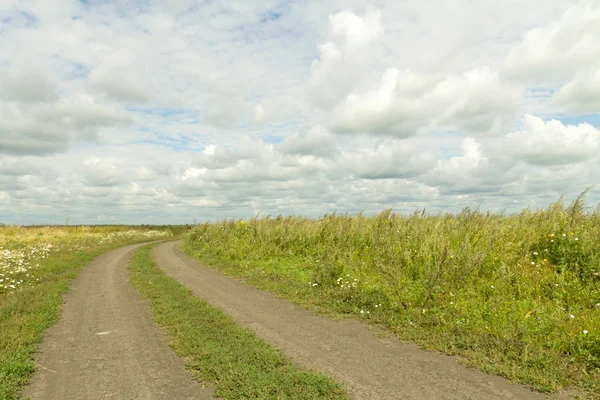 Nature plant landscape — Stock Photo, Image