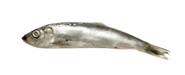 yemek için malzemeler