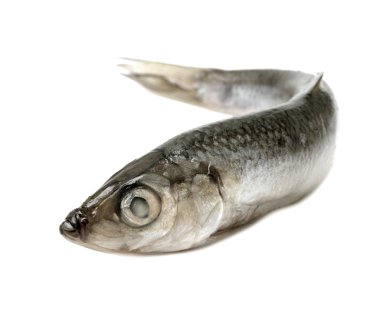 yemek için malzemeler