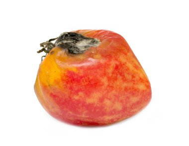 yemek için malzemeler