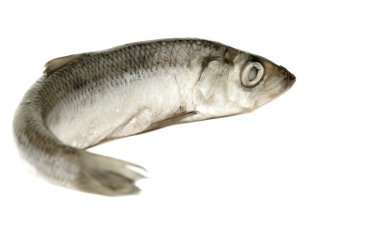 yemek için malzemeler