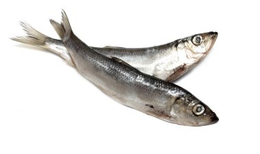 yemek için malzemeler