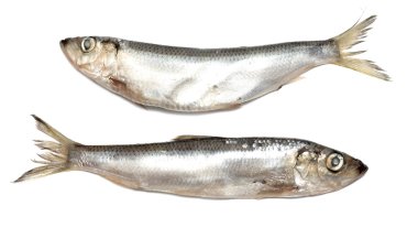yemek için malzemeler