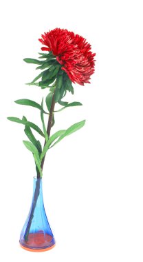 zarif güzel çiçekler