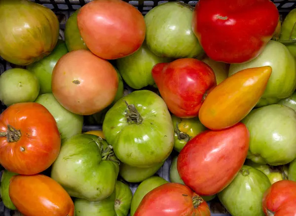 Ingrediënten voor de menselijke voeding — Stockfoto