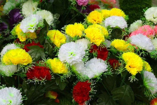 Elegante schöne Blumen — Stockfoto