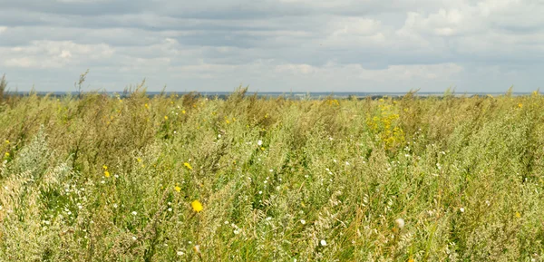 I colori vivaci della natura — Foto Stock