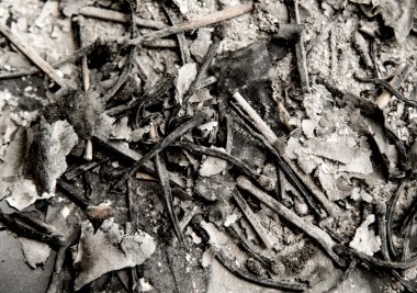 kül kağıdı arka plan ile eşleşir.