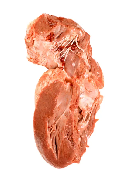 쇠고기의 원시 고기 조각 — 스톡 사진