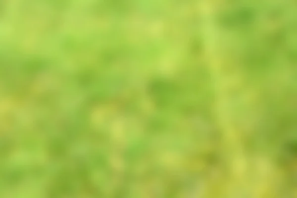 Размытая зеленая бацька, — стоковое фото