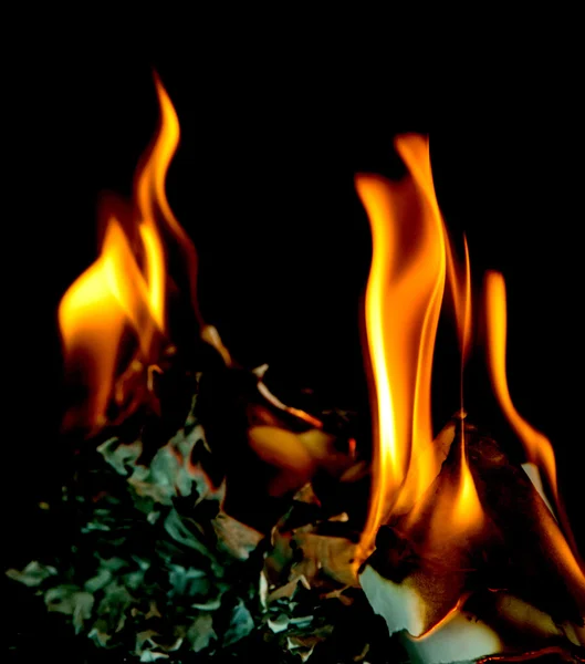 Feuer brennt auf schwarzem Hintergrund — Stockbild Feuer verbrennt Papier — Stockfoto