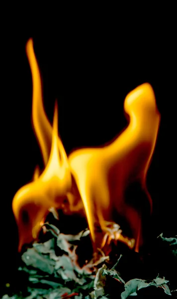 Fire burns paper — Stock Photo, Image