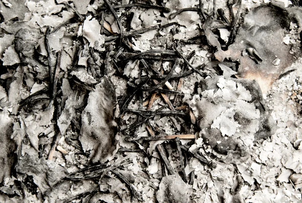 Asche aus dem Papier passt zum Hintergrund — Stockfoto