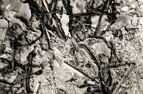 Ash from the paper matches the background — Stock Photo, Image