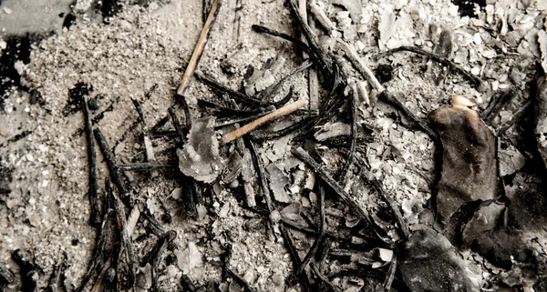 Ash from the paper matches the background — Stock Photo, Image