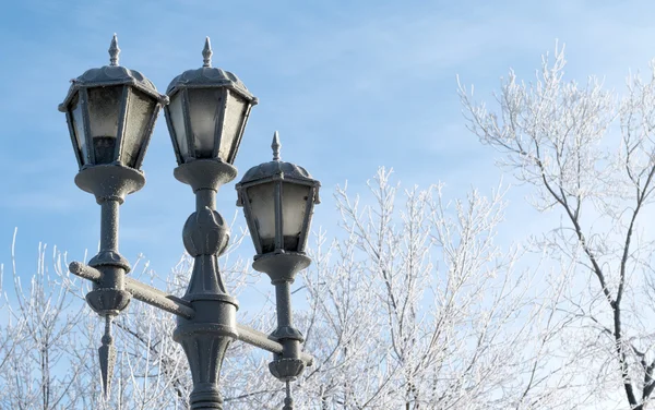 Natureza, paisagem de inverno — Fotografia de Stock