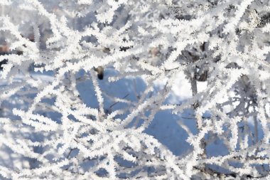 Doğa, kış manzarası